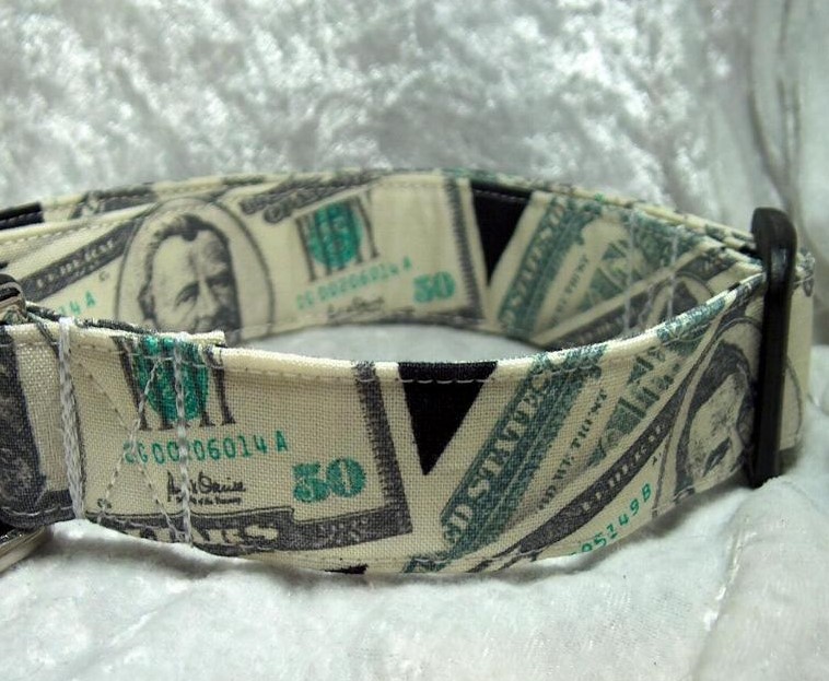 Money Money Money Martingale Dog collar